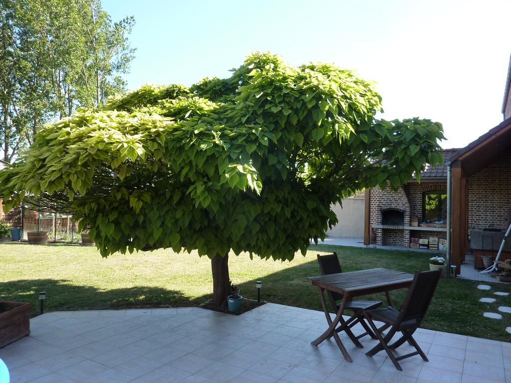 La Parenthese Villa La Couture  Dış mekan fotoğraf